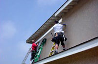 Termite Pest Control Orange County Wood Replacement Testimonials