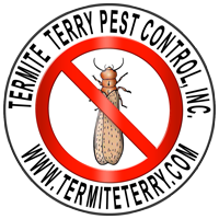 Termite Pest Control Orange County, Costa Mesa, Newport Beach, Huntington Beach, Irvine, Fountain Valley
